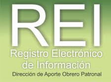 REI - IPS